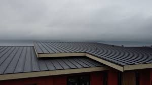 Best Commercial Roofing Services  in Hlsboro, IL